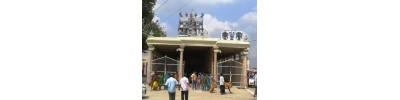 பெருங்குளம்